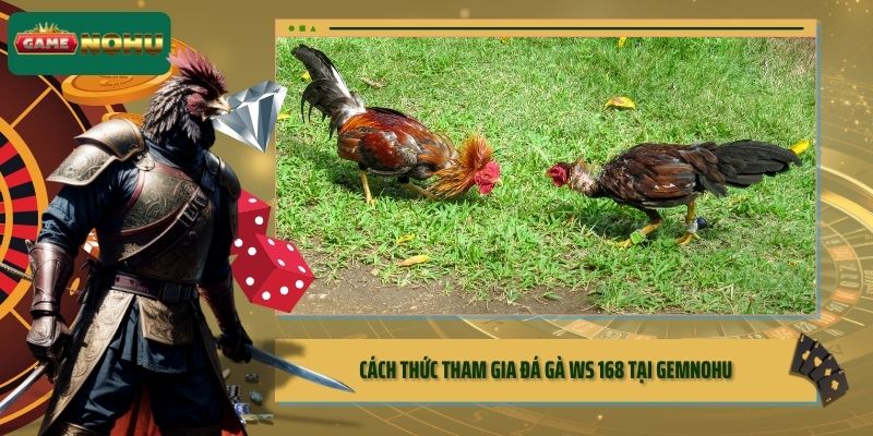 Cách thức tham gia Đá Gà WS168 tại GEMNOHU