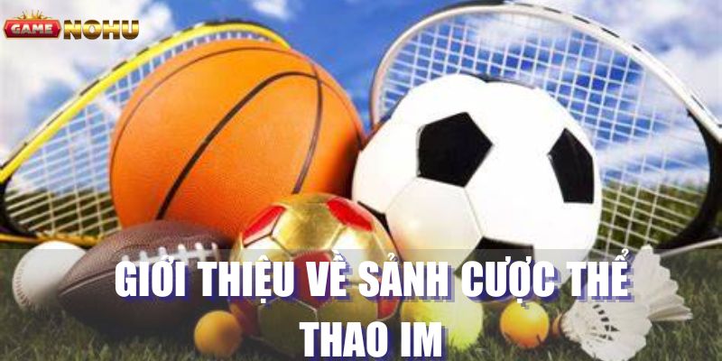 Nội dung khái quát về thể thao IM