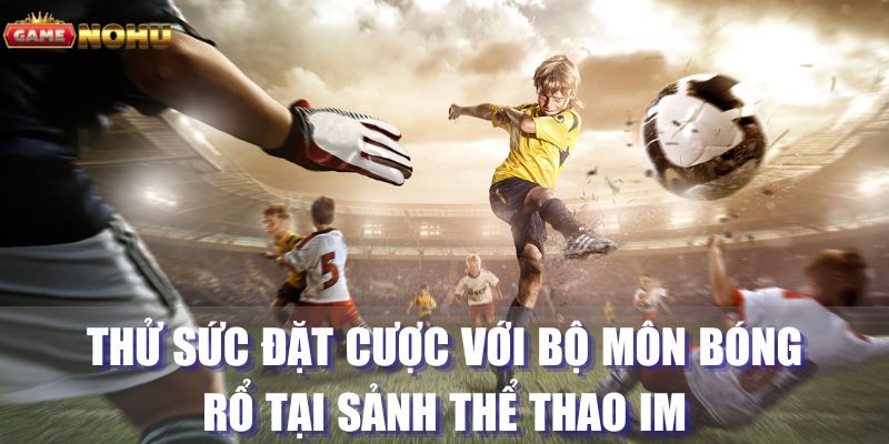 Trải nghiệm cá cược với bóng rổ chất lượng